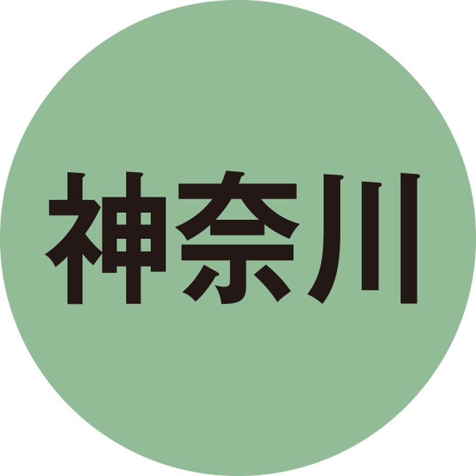 【お歳暮 ギフト】崎陽軒 真空パックシウマイ 商品画像(3)
