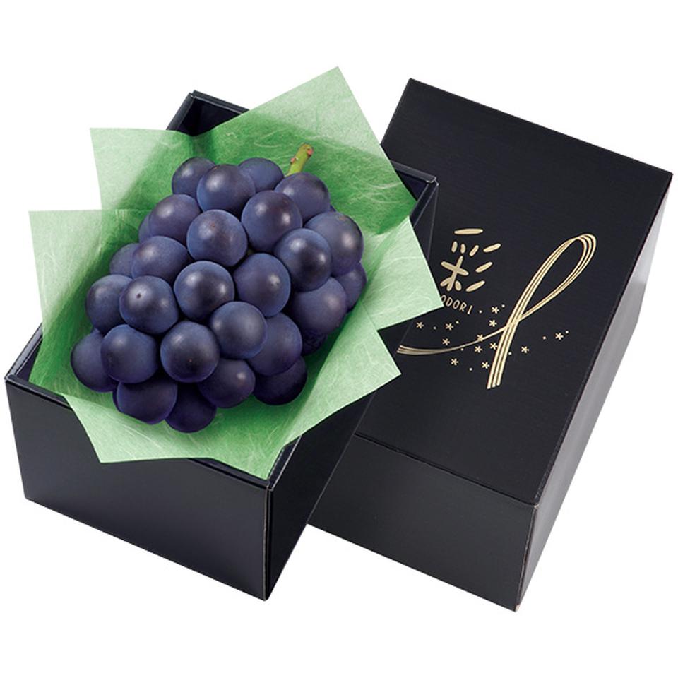 【夏の贈りもの】広島県産　三次産　もぎたて粒より種なしピオーネ 商品サムネイル