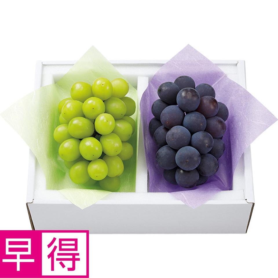 【夏の贈りもの早得】広島県産　広島（三次）種なしピオーネ＆シャインマスカット 商品サムネイル