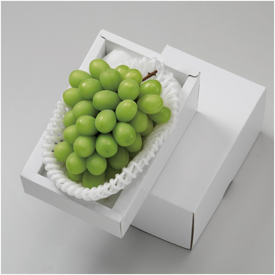 【父の日】岡山県産マスカット・オブ・アレキサンドリア 商品サムネイル