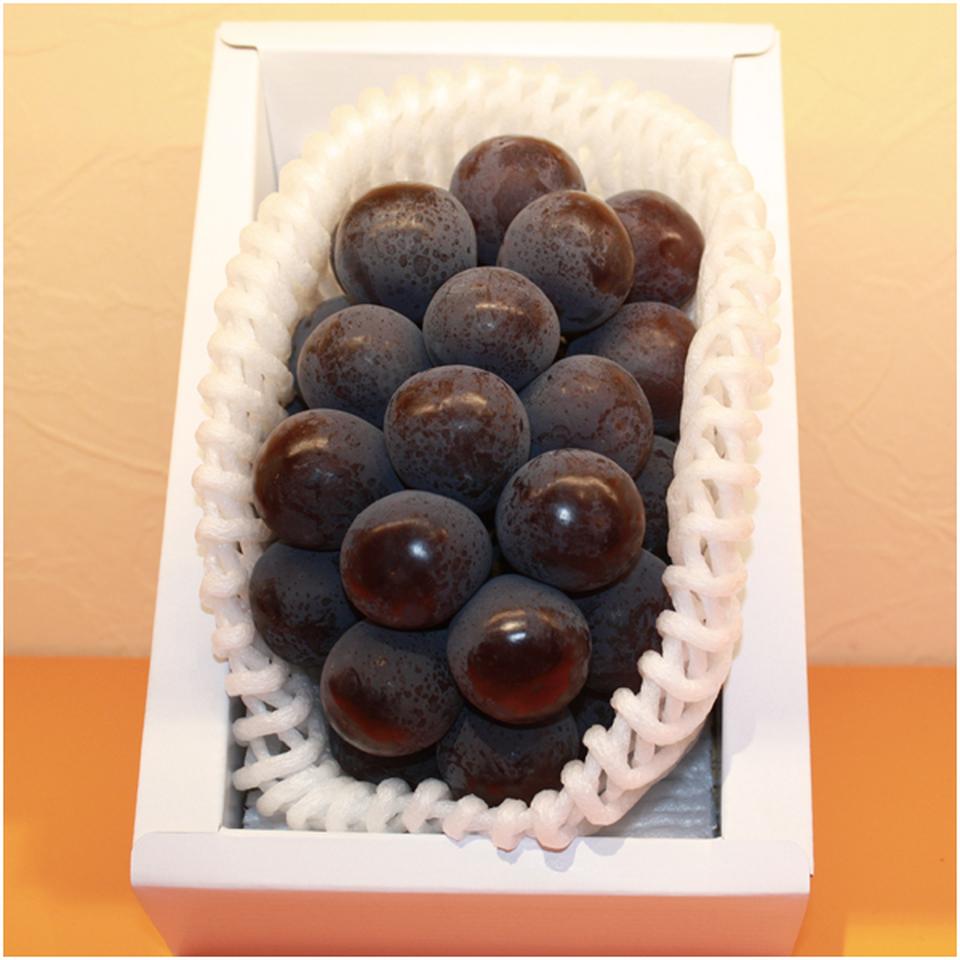 【父の日】岡山県産種なしピオーネ 商品サムネイル