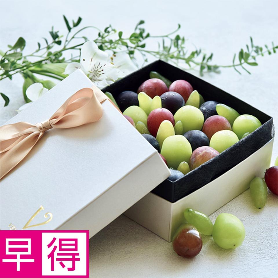 【夏の贈りもの早得】岡山県産　ぶどうの宝石箱ヴェレゾンブランシュ 商品サムネイル