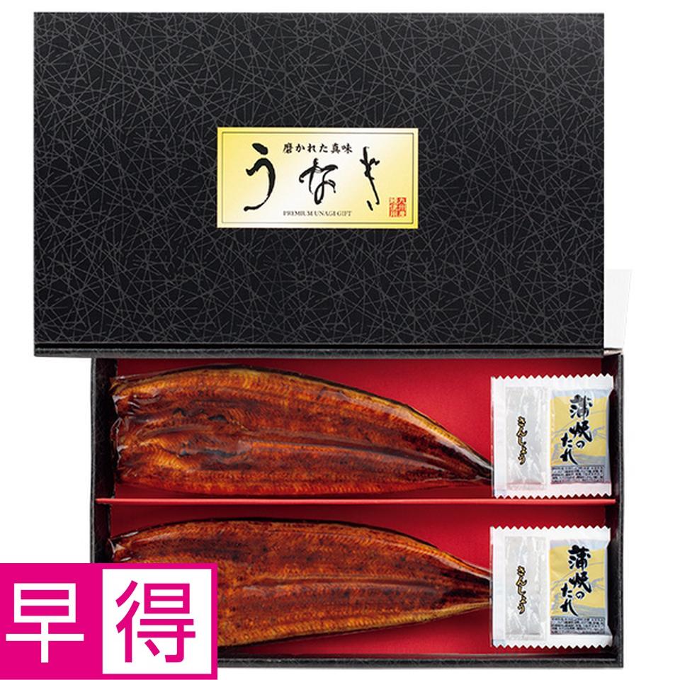 【夏の贈りもの早得】鰻天屋　うなぎ蒲焼２尾 商品サムネイル