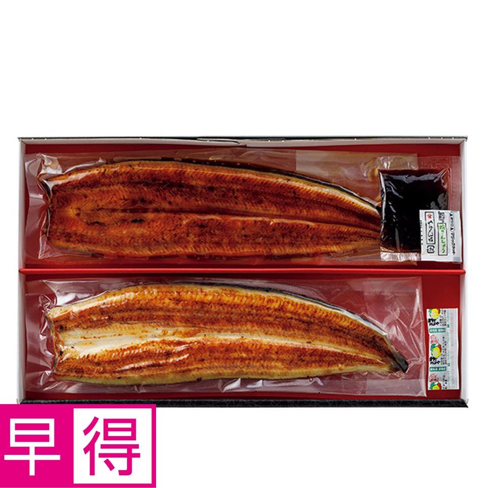 【夏の贈りもの早得】鰻天屋　うなぎ蒲焼、うなぎ白醤油焼き食べ比べ 商品サムネイル