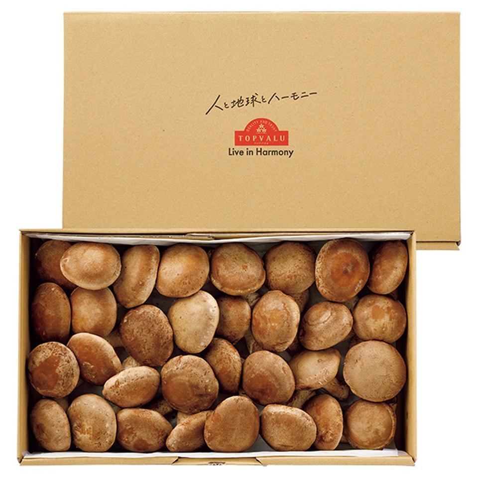 【夏の贈りもの】トップバリュグリーンアイオーガニック、福島県産（いわき椎茸出荷組合）オーガニック生しいたけ（菌床栽培）大 商品サムネイル