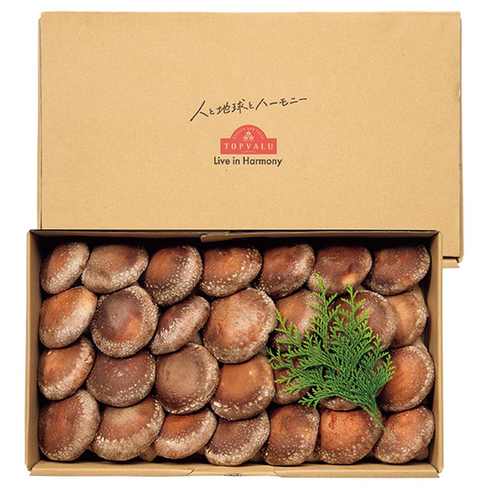 【夏の贈りもの】トップバリュグリーンアイオーガニック北海道産（清田しいたけファーム）オーガニック生しいたけ（菌床栽培）大 商品サムネイル