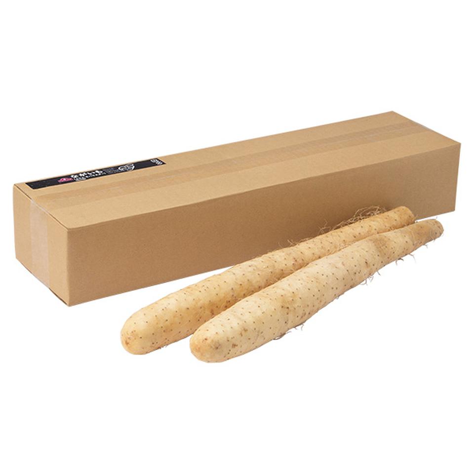 【夏の贈りもの】トップバリュ　青森県産ネバリスター（長いも）ギフト 商品サムネイル