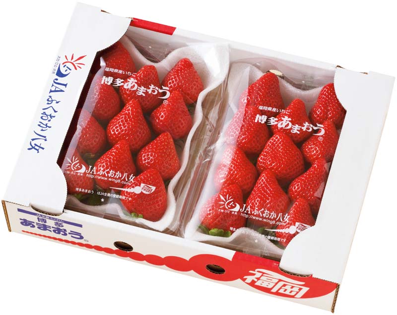 【冬の贈りもの】JAふくおか八女 博多あまおう 商品サムネイル