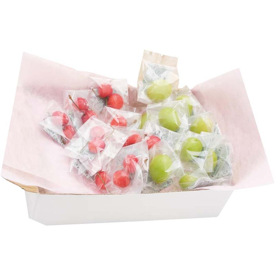 【夏の贈りもの】山形県産冷凍さくらんぼ（佐藤錦）＆冷凍シャインマスカット 商品サムネイル