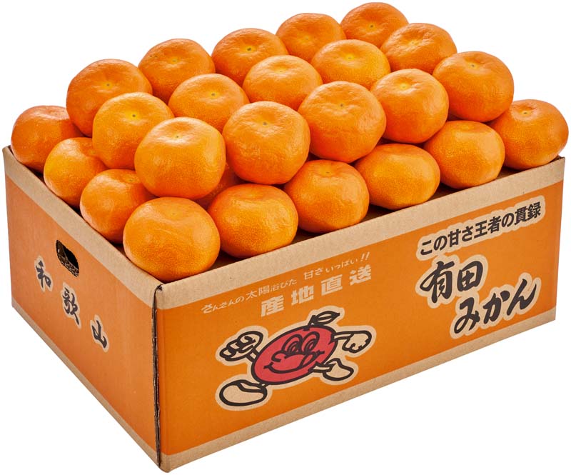【冬の贈りもの】和歌山県産 有田みかん 商品サムネイル