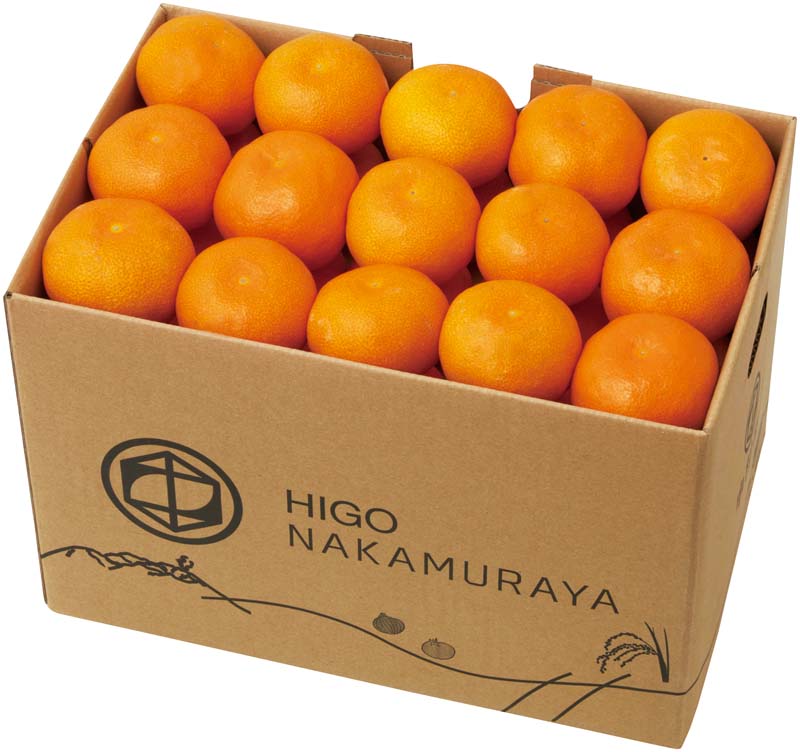 【冬の贈りもの】佐賀県産 唐津みかん 商品サムネイル