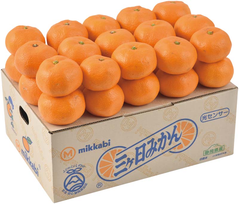 【冬の贈りもの】静岡県産 三ケ日みかん 商品サムネイル