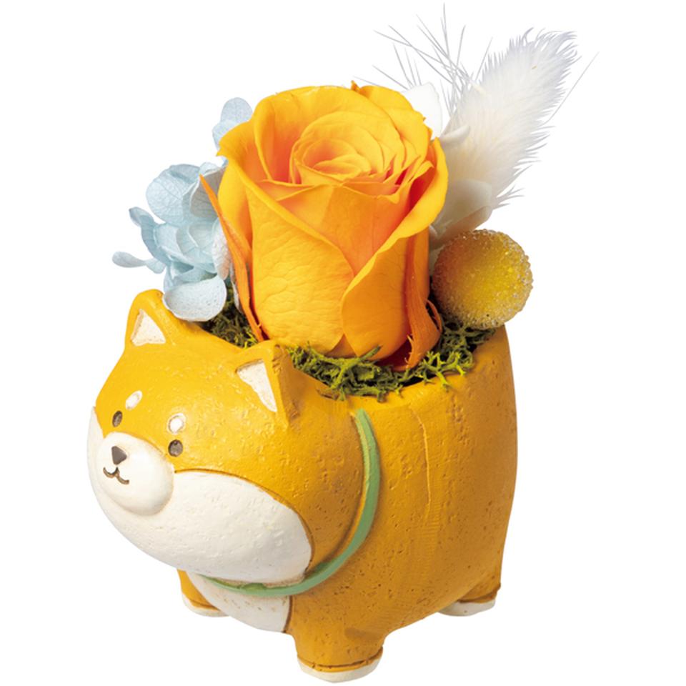 【父の日】ドルチェ・ディ・ロッカ・カリーノパクパクアニマルズとアニマルプリザ(いぬ・ねこ) 商品画像(2)