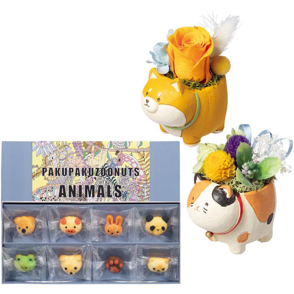 【父の日】ドルチェ・ディ・ロッカ・カリーノパクパクアニマルズとアニマルプリザ（いぬ・ねこ） 商品サムネイル