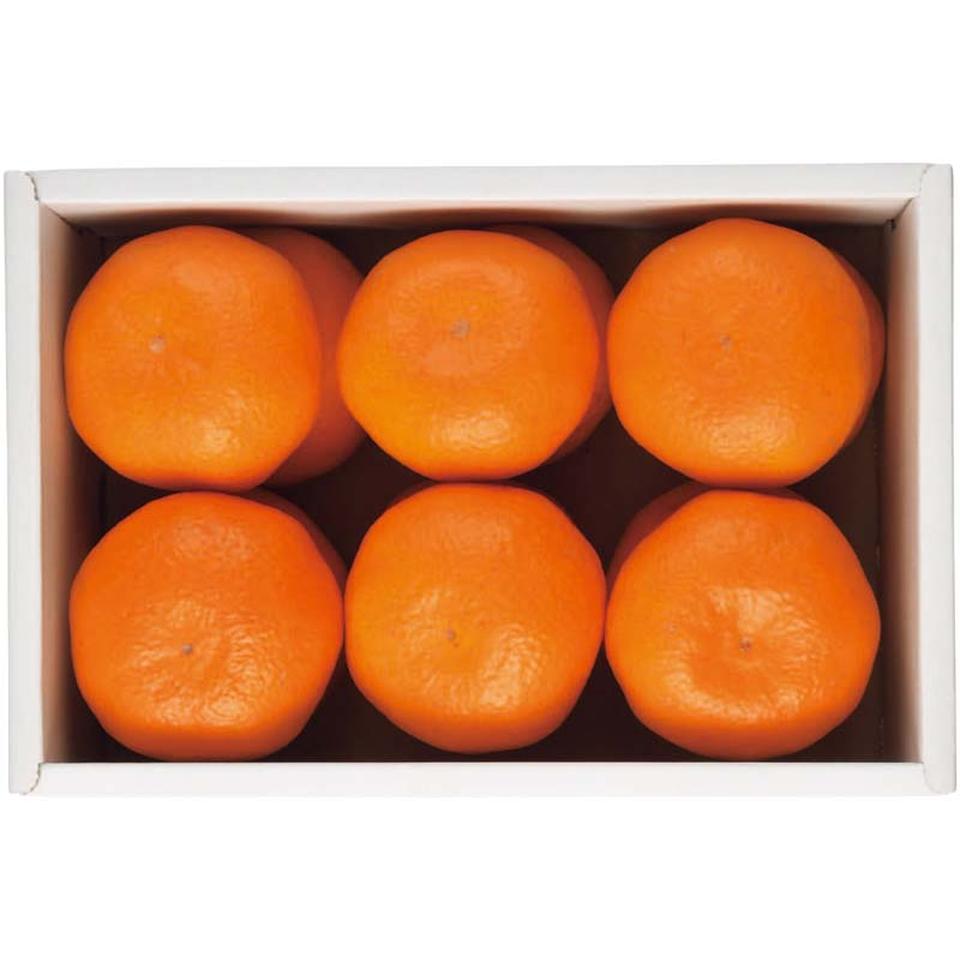 【夏の贈りもの】JA蒲郡市蒲郡温室みかん 商品サムネイル