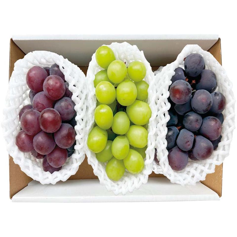 【夏の贈りもの】3種のぶどう食べ比べ 商品サムネイル