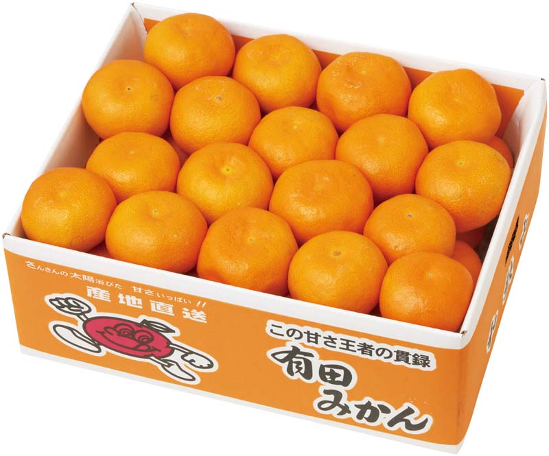 【冬の贈りもの】和歌山県産 有田みかん 商品サムネイル