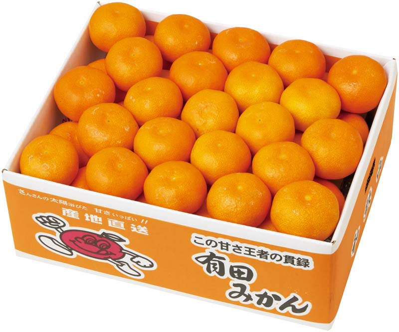 【冬の贈りもの】和歌山県産 有田みかん 商品サムネイル
