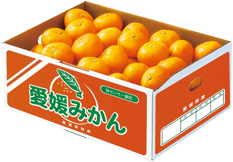 【冬の贈りもの】愛媛みかん 商品サムネイル