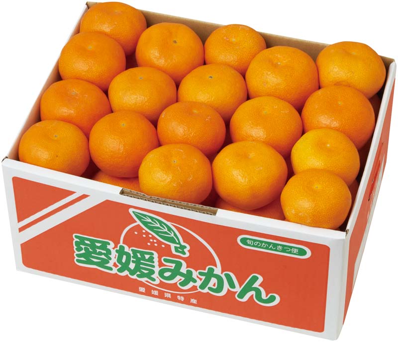 【冬の贈りもの】愛媛みかん 商品サムネイル