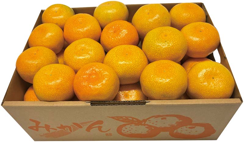 【冬の贈りもの】福岡県産 糸島みかん 商品サムネイル