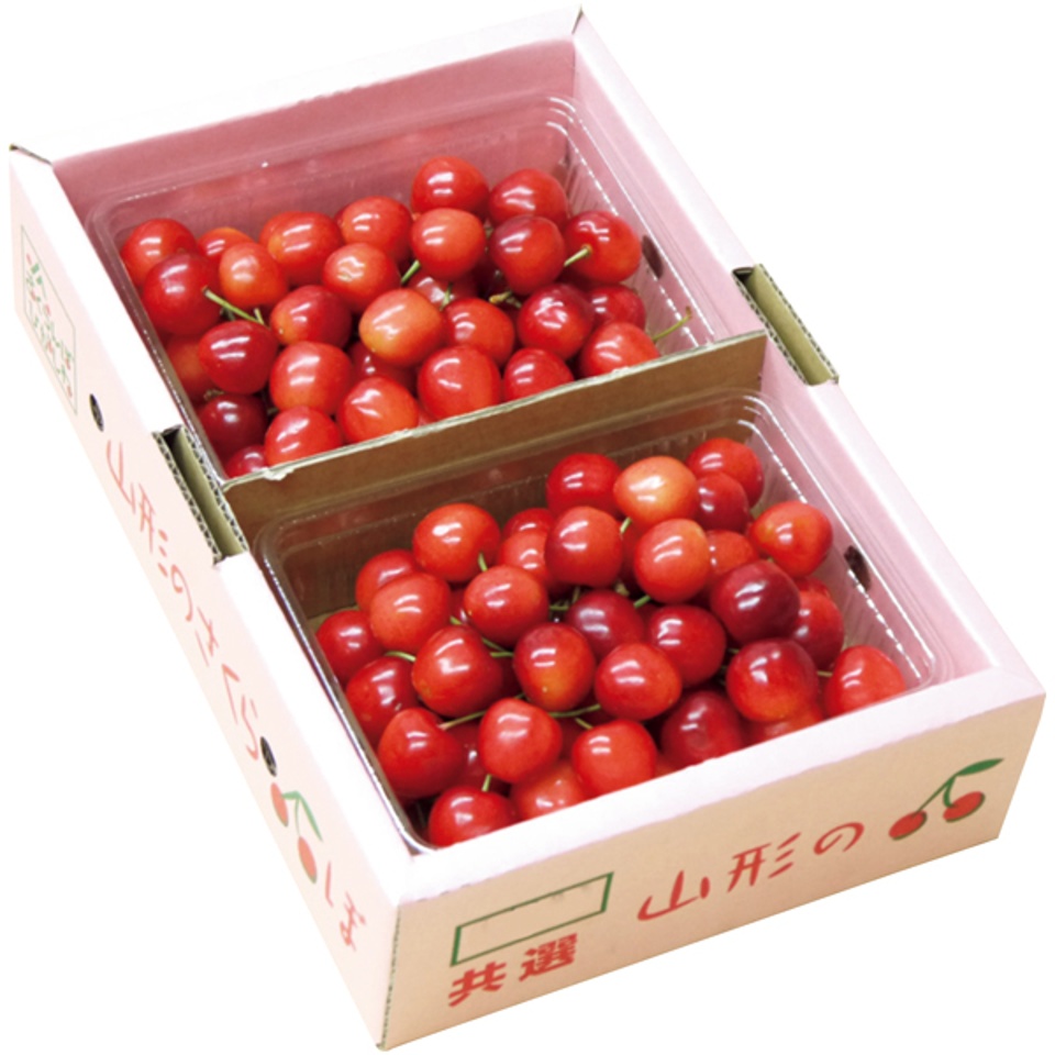 【夏の贈りもの】山形県産（ＪＡさくらんぼ東根） さくらんぼ佐藤錦 商品サムネイル