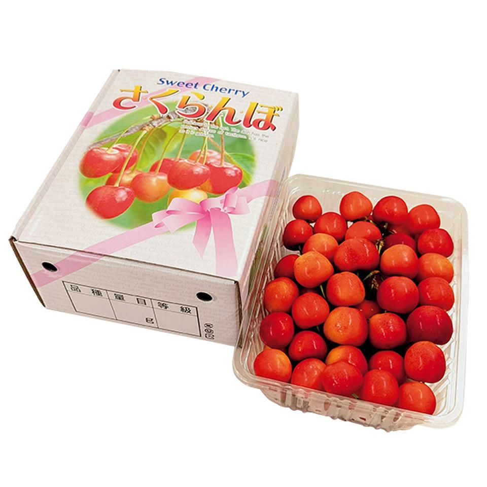 【夏の贈りもの】北海道産　さくらんぼ　佐藤錦又は紅秀峰、１パック（５００ｇ以上） 商品サムネイル