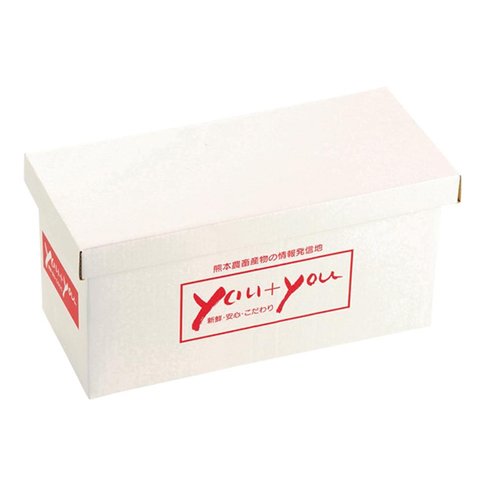 【お歳暮 ギフト】熊本県産 晩白柚・立体すいかセット 商品画像(4)