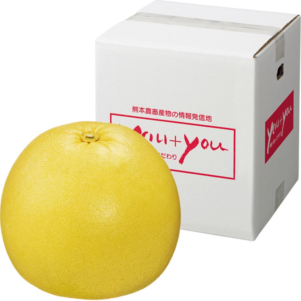 【お歳暮 ギフト】熊本県産 晩白柚 商品画像(1)