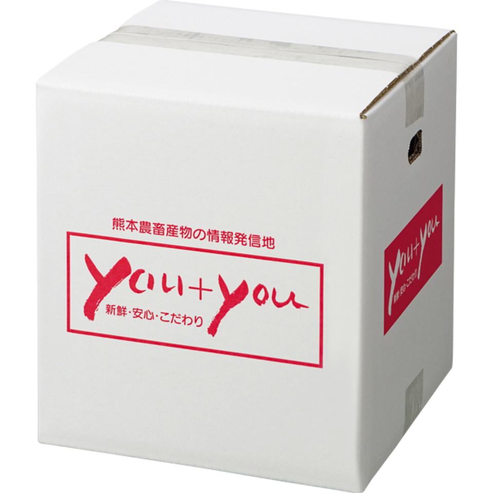 【お歳暮 ギフト】熊本県産 晩白柚 商品画像(3)