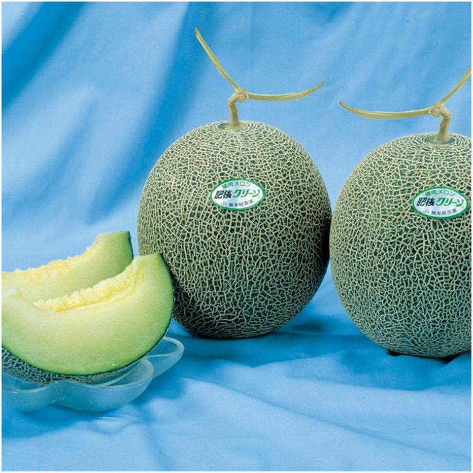 【父の日早得】熊本県産肥後グリーンメロン 商品サムネイル