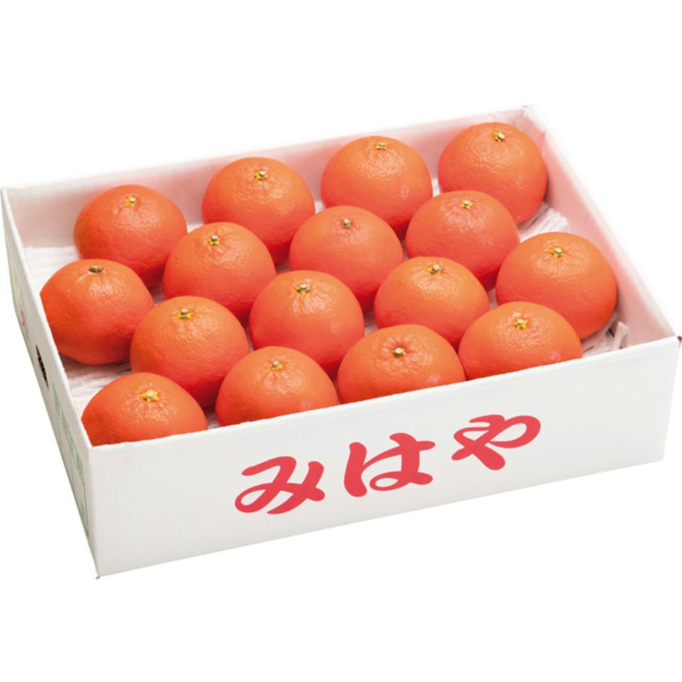 【お歳暮 ギフト】熊本県産 みはや 商品画像(1)