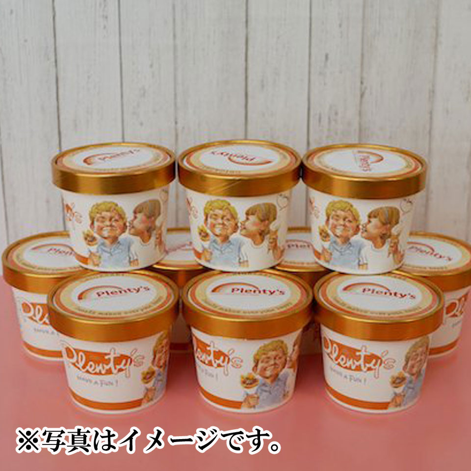 【神奈川 茅ヶ崎】【プレンティーズ】アイスクリーム 10個セット 商品サムネイル