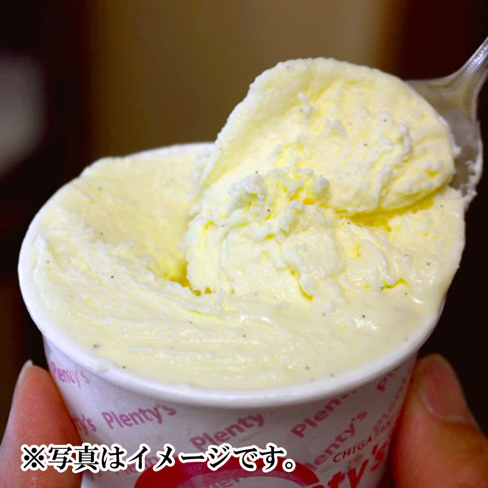 【神奈川 茅ヶ崎】【プレンティーズ】アイスクリーム 12個セット 商品画像(2)