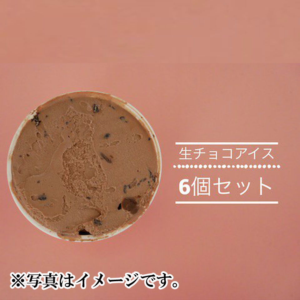 【神奈川 茅ヶ崎】【プレンティーズ】アイスクリーム 6個セット（生チョコのみ） 商品サムネイル