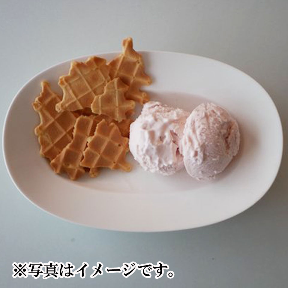 【神奈川 茅ヶ崎】【プレンティーズ】アイス6個 +ワッフルチップス(プレーン&チョコ) 商品画像(2)