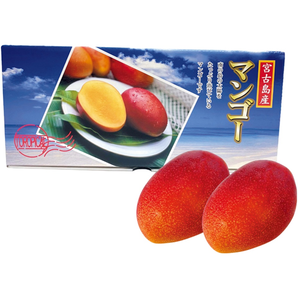 【夏の贈りもの】沖縄県産（宮古島） アップルマンゴー 商品サムネイル