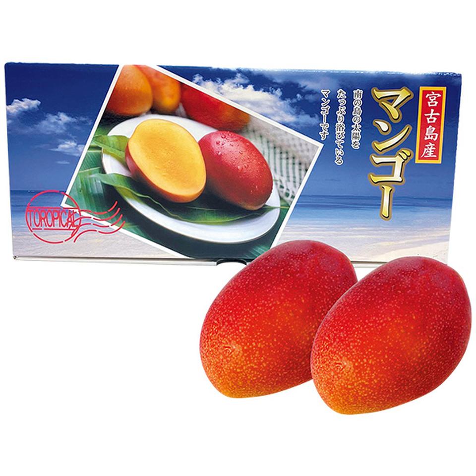 【夏の贈りもの】沖縄県産（宮古島）　アップルマンゴー 商品サムネイル