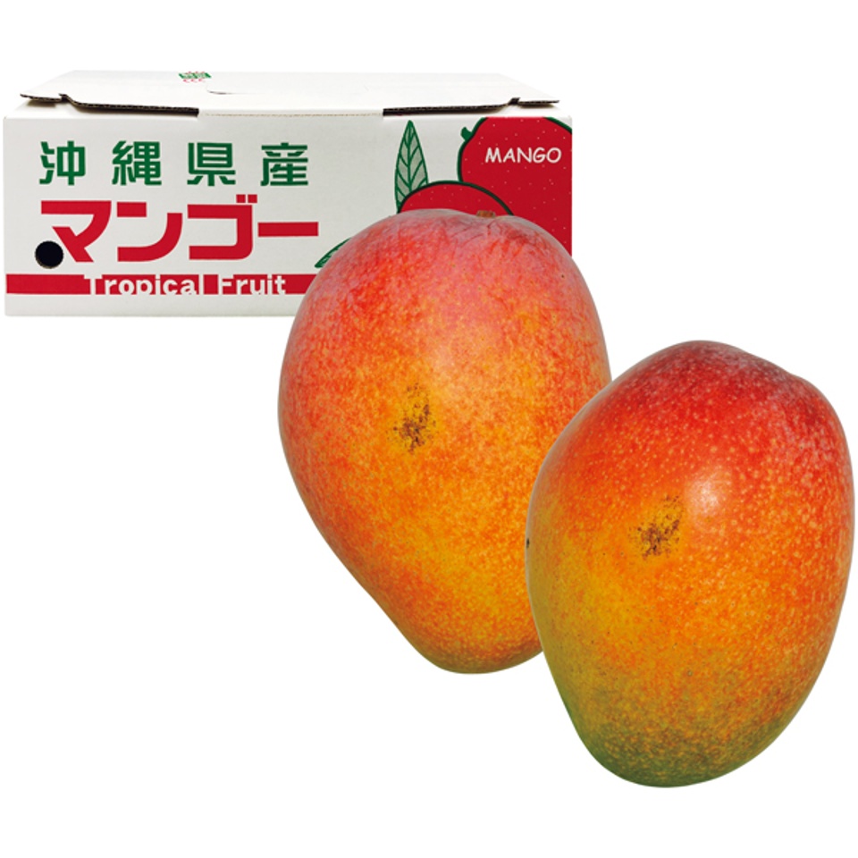【夏の贈りもの】沖縄県産 わけありアップルマンゴー（自宅用） 商品サムネイル