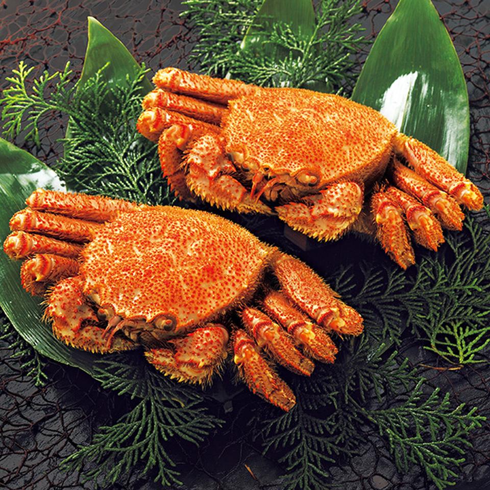 【夏の贈りもの】北海道産　ボイル毛がに姿２尾（かにスプーン付き） 商品サムネイル