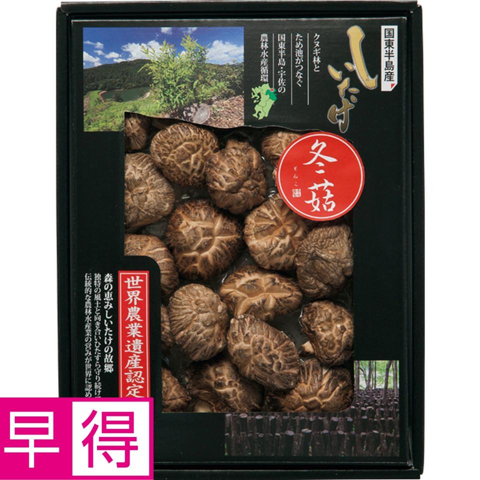 【お歳暮 ギフト早得】大分乾物 大分県国東半島産どんこ椎茸 商品サムネイル