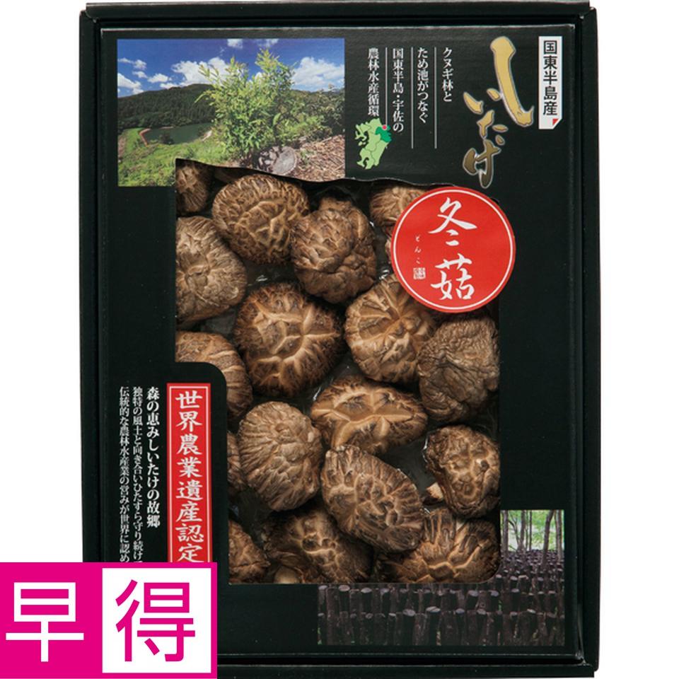 【お歳暮 ギフト早得】大分乾物　大分県国東半島産　どんこ椎茸 商品サムネイル