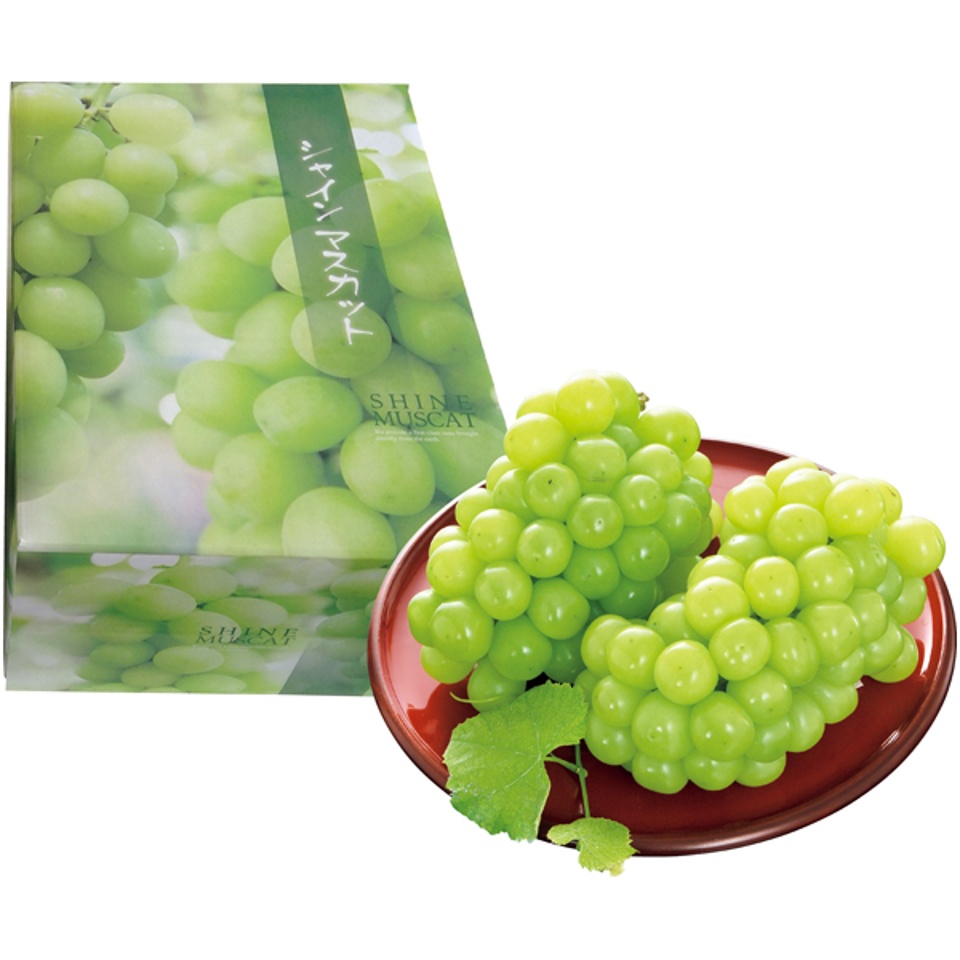 【夏の贈りもの】長野県産 ハウスシャインマスカット 商品サムネイル