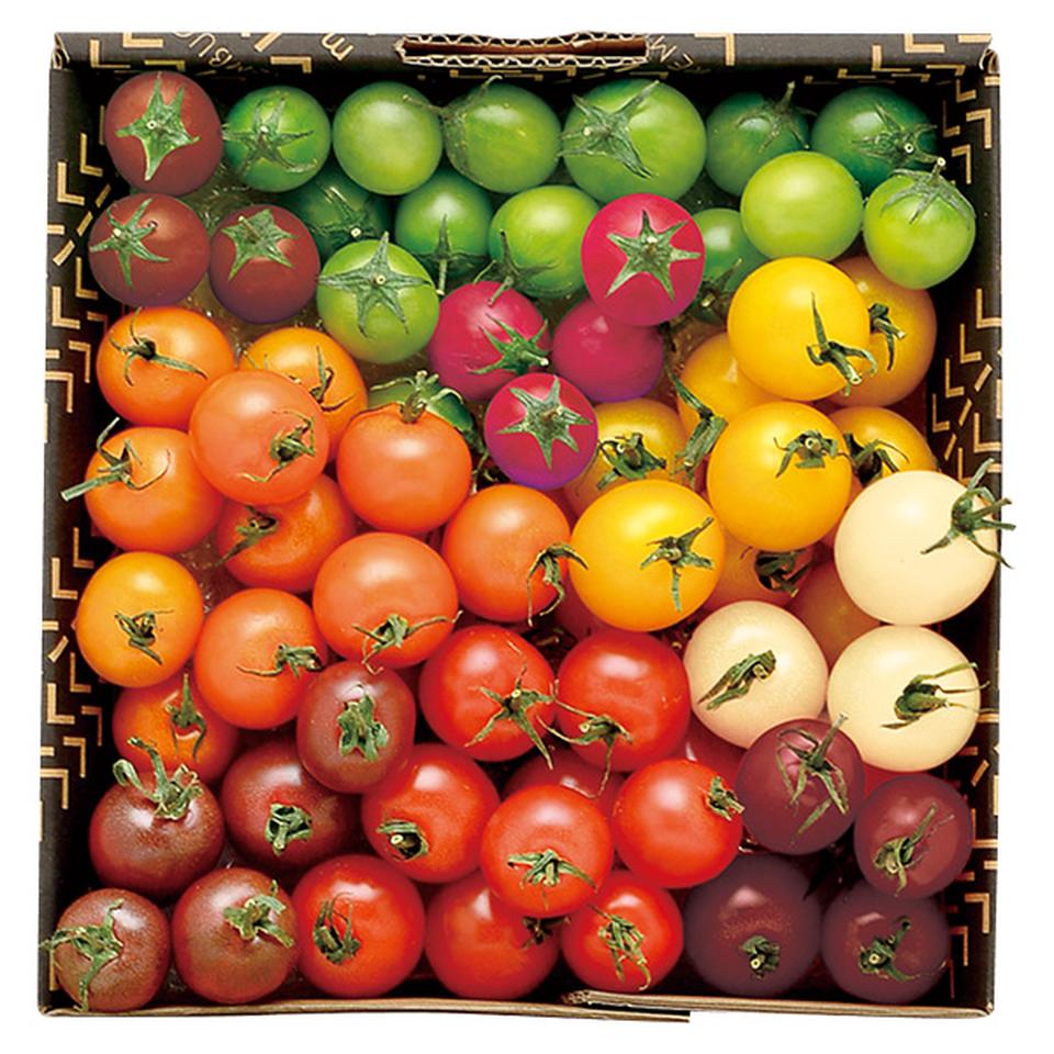 【夏の贈りもの】北海道剣淵町産　自宅用　けんぶちＶＩＶＡマルシェ　カラフルミニトマト 商品サムネイル