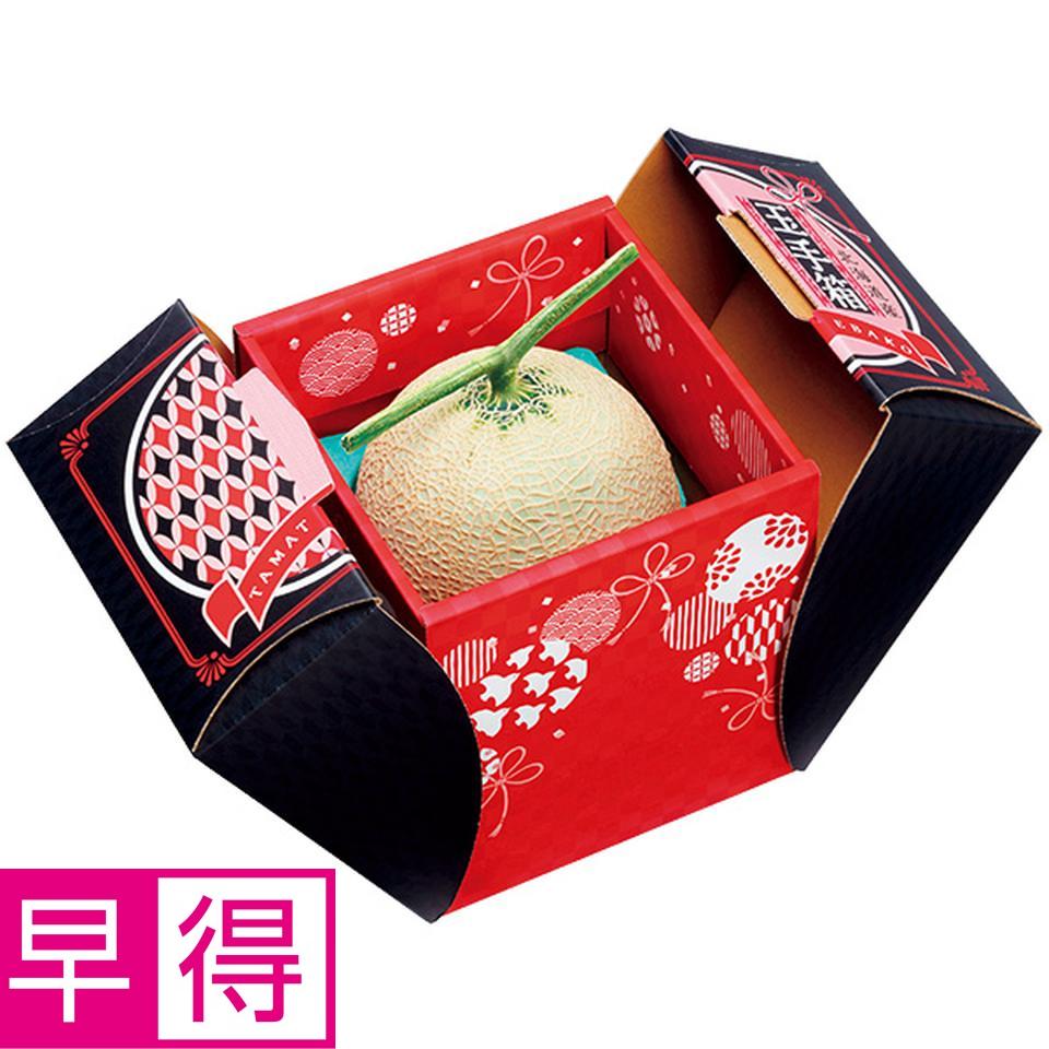 【夏の贈りもの早得】北海道富良野市産　ふらのメロンの玉手箱　型番：特秀品、３Ｌサイズ、１個（１．９ｋｇ以上） 商品サムネイル