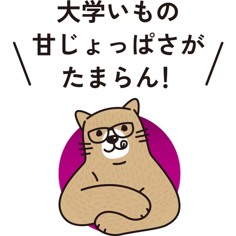 【お歳暮 ギフト】SAZANKA 熟成やきいもの大学いもと生ほしいもの食べくらべ800g 商品画像(4)