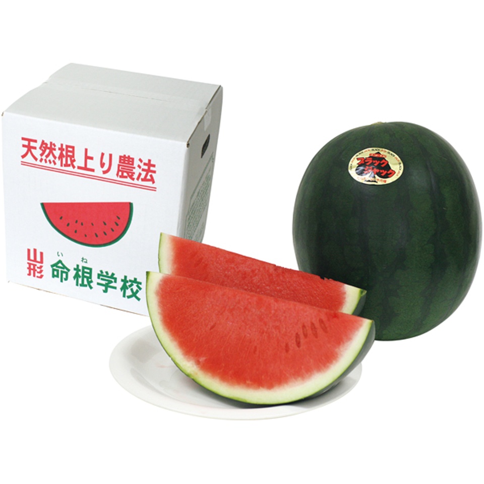 【夏の贈りもの】山形県産（門脇農園） 殆どタネのないすいか「ブラックジャック」 商品サムネイル