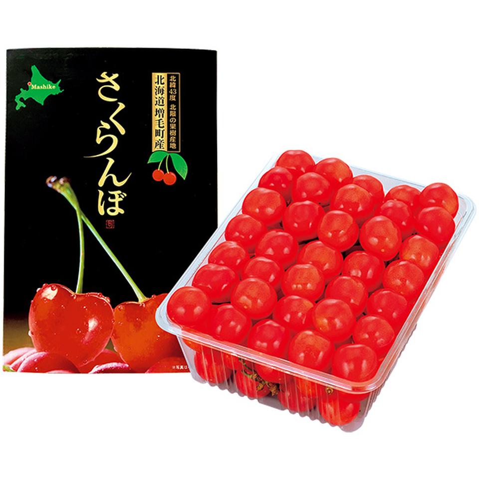 【夏の贈りもの】北海道増毛町産　ＥＺＯ極さくらんぼ　５００ｇ並び 商品サムネイル