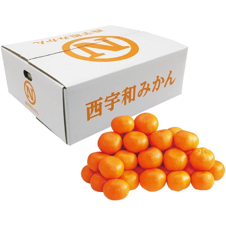 【冬の贈りもの】愛媛県産（ＪＡにしうわみなの共選） 小粒みかん　秀品、２Ｓ又はＳサイズ、計５ｋｇ以上 商品サムネイル