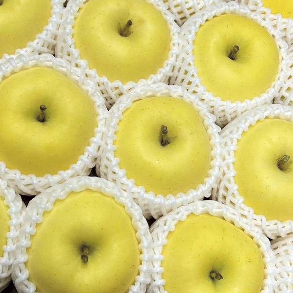 【お歳暮 ギフト】青森県産 はるかりんご 商品サムネイル